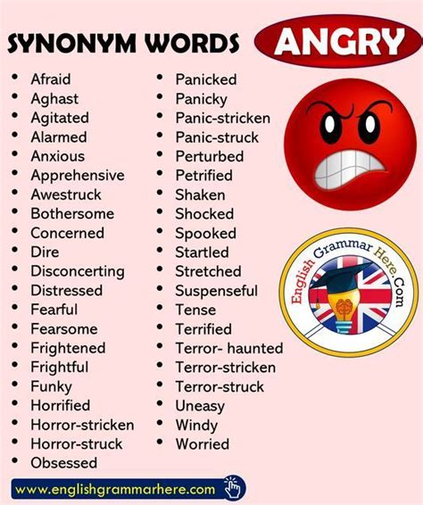 angry synonym|another word for getting angry.